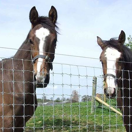 Field fence(woven wire fence) its formed by horizontal and vertical galvanized wire, 